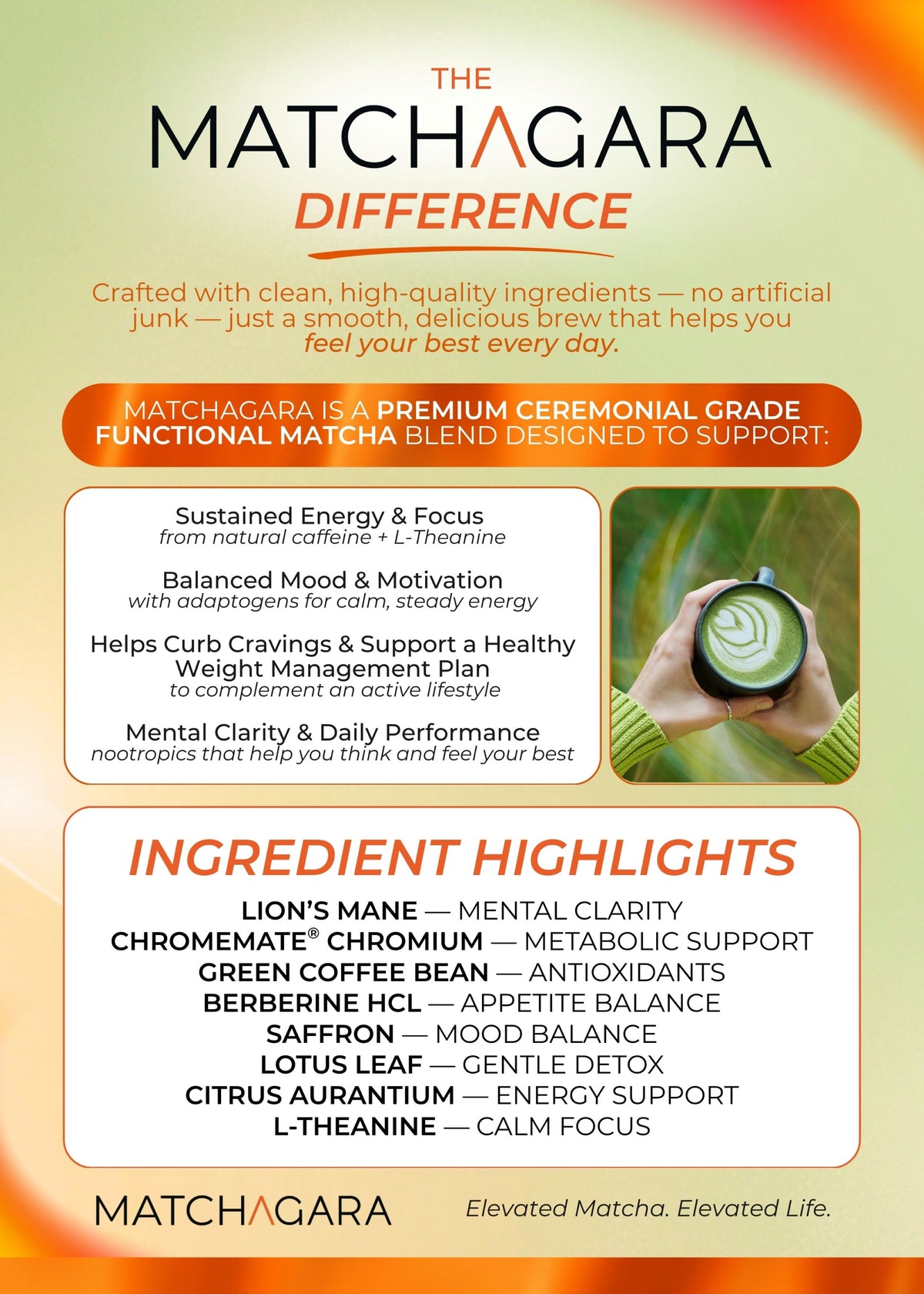 Matchagara | Functional Matcha Scoops